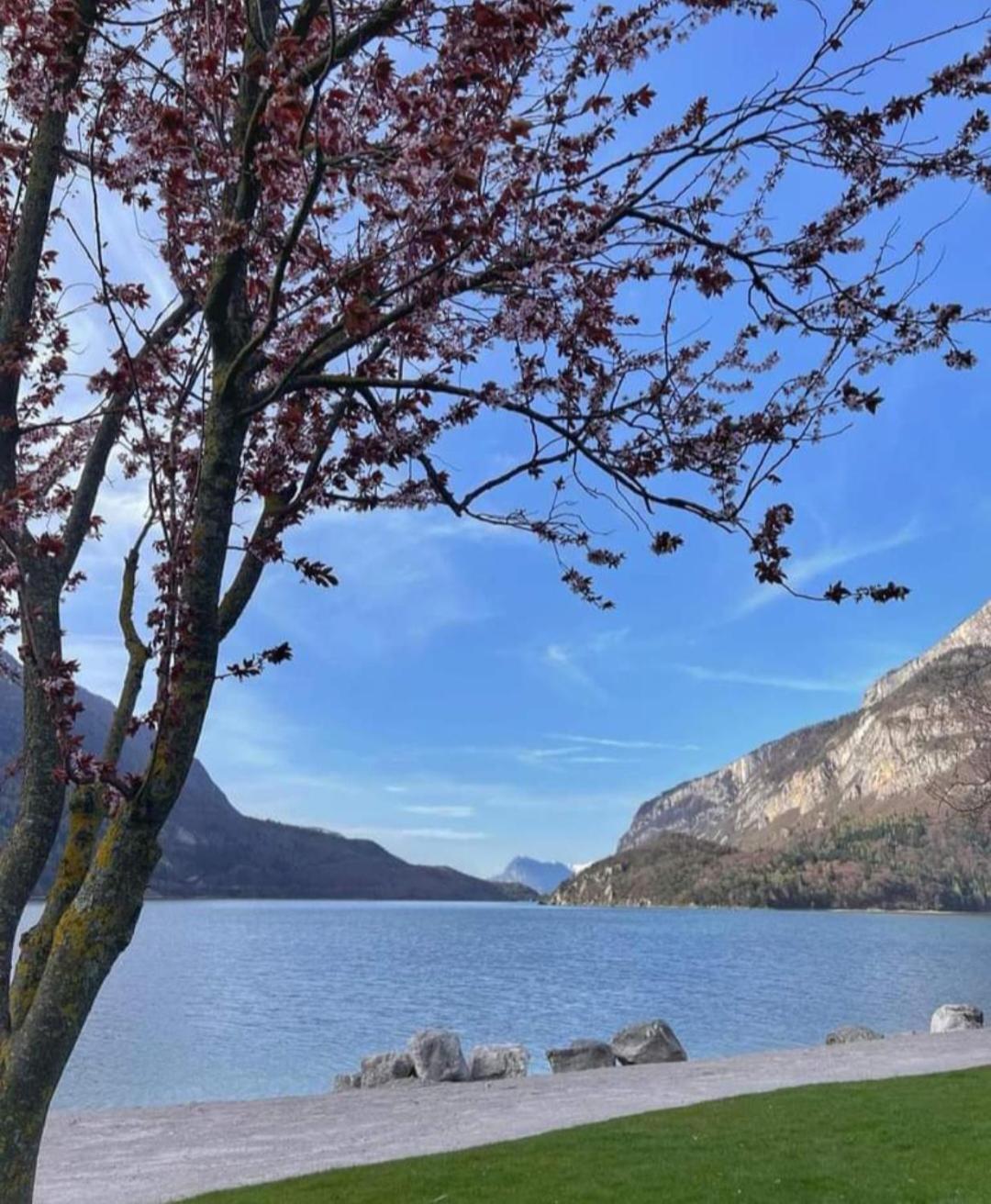 Alloggio La Falesia San Lorenzo Dorsino Esterno foto