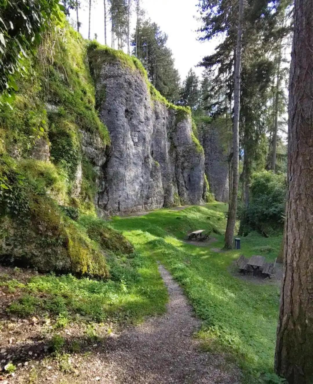 Alloggio La Falesia San Lorenzo Dorsino Esterno foto